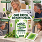 🧪50% OFF NOW! 6Pcs Mold Purifying Patches – Botanical Mildew Removal Pads, Long Lasting Mold Inhibitor for Bathroom, Kitchen, Wall Corners & Damp Hidden Spots