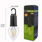 ✨Limited Time Offer 🔥Outdoor Camping Hanging Type-C Charging Retro Bulb Light