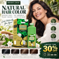 🏆 Last Day Special Price 14.99! 💇‍♀️Long‑Lasting Plant‑Based Foam Hair Dye｜Ammonia‑Free Easy DIY At‑Home Foam Hair Color